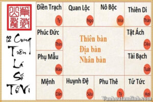 Tử Vi là gì? Có nên xem Tử Vi không?