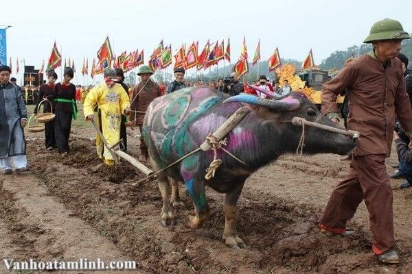 Lễ cúng Thần Nông ở Hội An