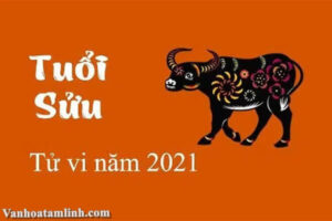 Tử vi tuổi Sửu năm 2021