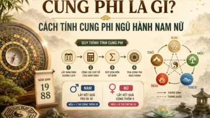 Cung Phi là gì? Cách tính cung phi ngũ hành nam nữ