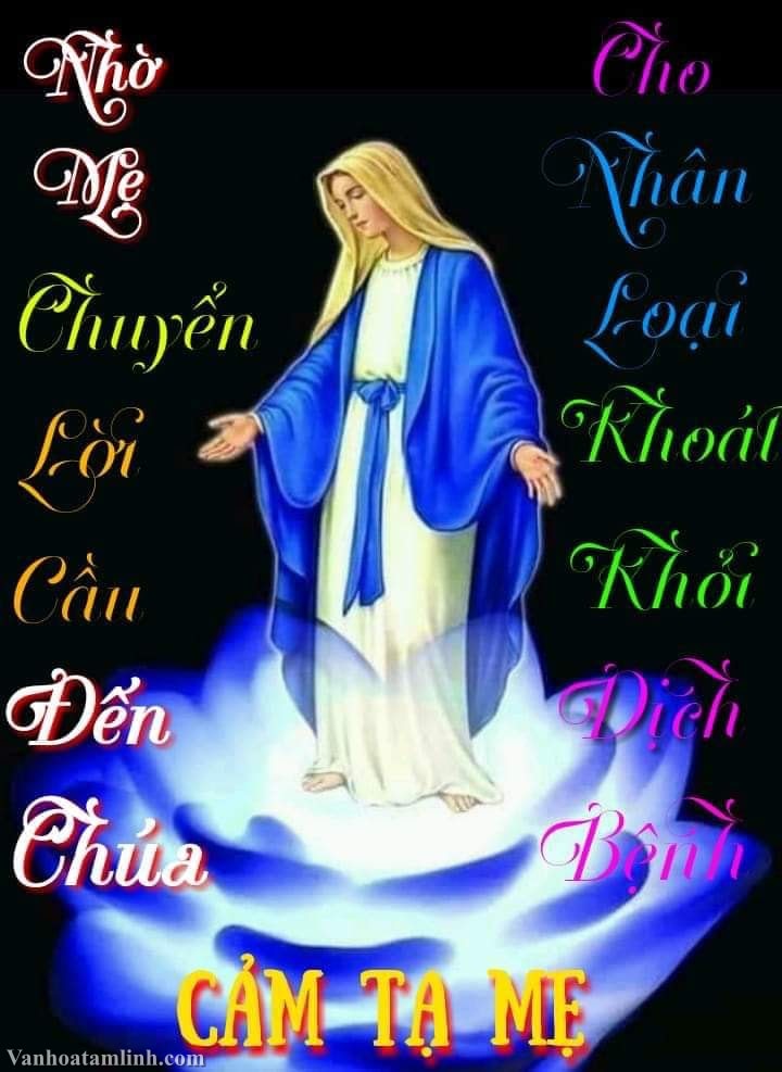 Khẩn cầu với Mẹ giữa mùa đại dịch