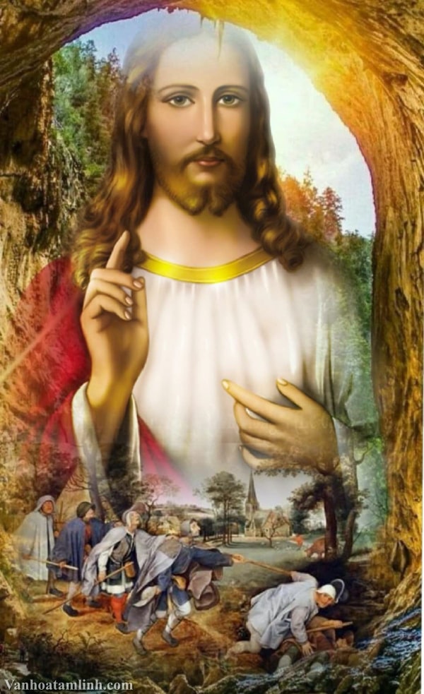 Lời Chúa ngày 27/02/2022 Chúa Nhật tuần VIII Thường Niên năm C