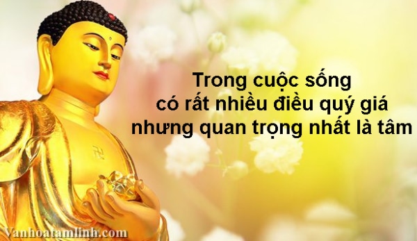 Lời Phật dạy về chữ tâm
