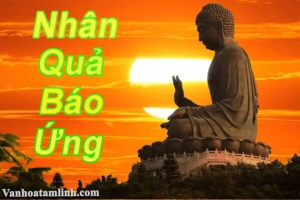 Lời Phật dạy về nhân quả