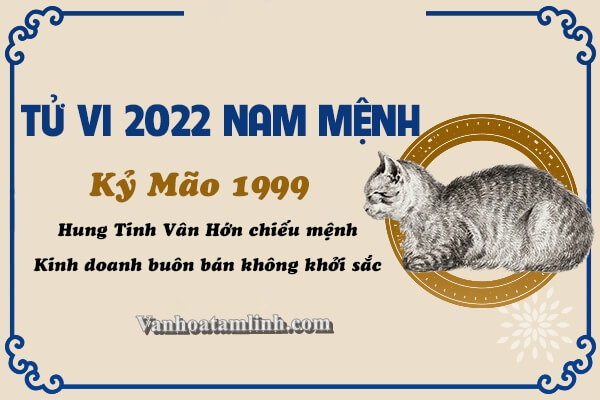 Tử vi tuổi Kỷ Mão năm 2022 - Nam mạng 1999