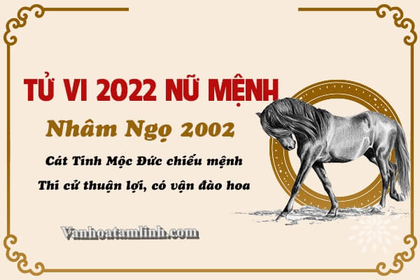 Tử vi tuổi Nhâm Ngọ năm 2022 - Nữ mạng 2002