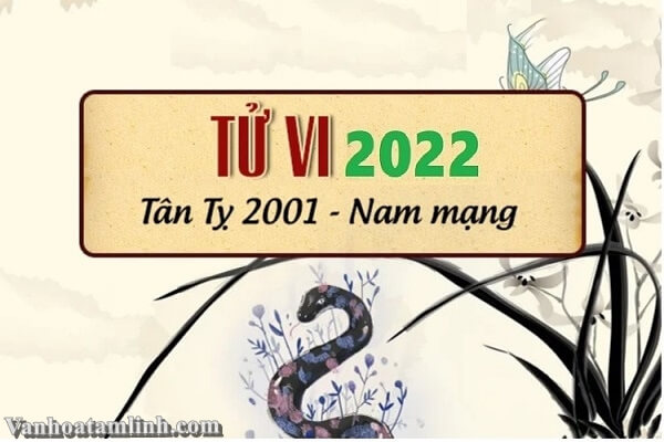 Tử vi tuổi Tân Tỵ năm 2022 - Nam mạng 2001