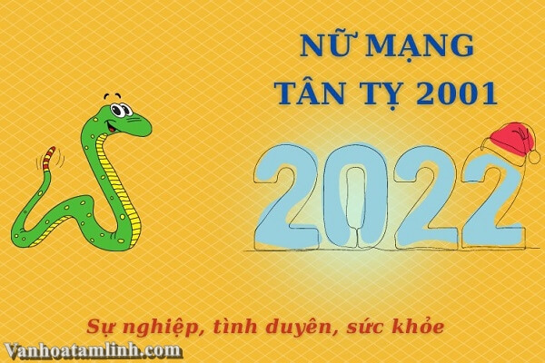 Tử vi tuổi Tân Tỵ năm 2022 - Nữ mạng 2001