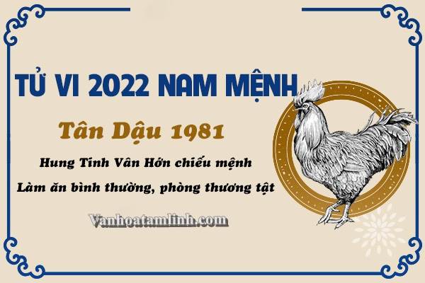 Xem tử vi năm 2022 tuổi TÂN DẬU sinh năm 1981 [Nam Mạng]