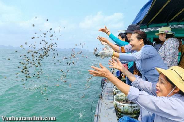 Phóng sinh như thế nào cho đúng, cho ý nghĩa?