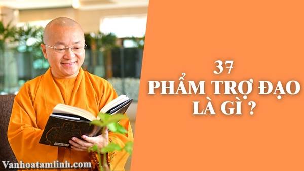 Tìm hiểu về 37 phẩm trợ đạo