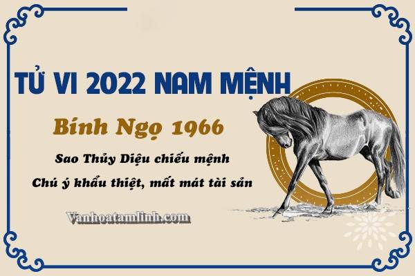 Tử vi tuổi Bính Ngọ năm 2022 - Nam mạng 1966