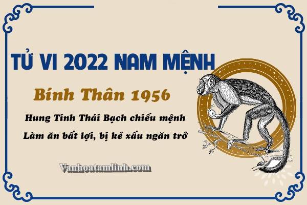 Tử vi tuổi Bính Thân năm 2022 - Nam mạng 1956