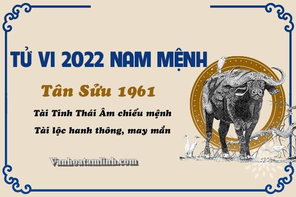 Tử vi tuổi Tân Sửu năm 2022 - Nam mạng 1961
