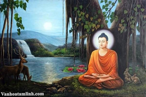 Quan niệm quả báo, nhân quả theo Phật giáo