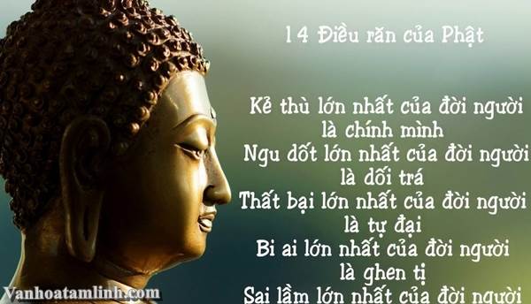 14 Điều Răn Dạy Của Đức Phật - Phật Giáo
