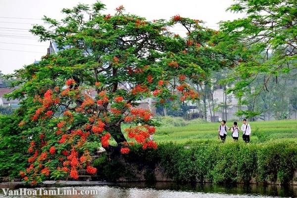 &#8220;Lập xuân&#8221;, &#8220;Lập hạ&#8221;, &#8220;Lập thu&#8221;, &#8220;Lập đông&#8221; là gì, vào ngày nào?