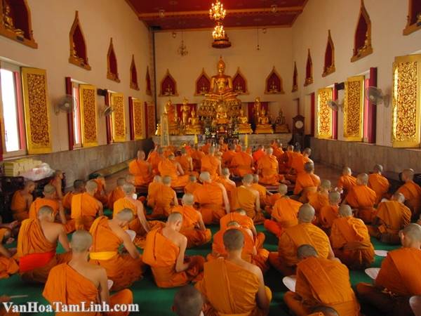 Phật giáo thờ vị thần nào?