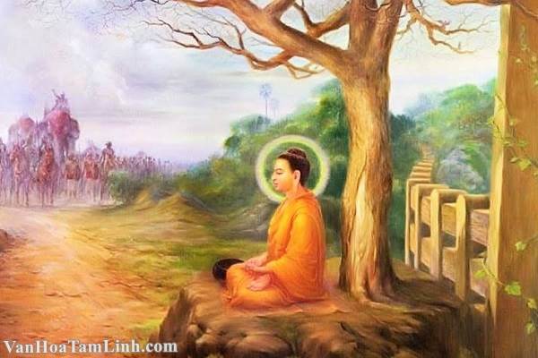 Phương pháp thiền định của Đức Phật