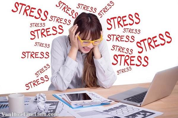 Stress là gì? Bị stress do nguyên nhân nào?