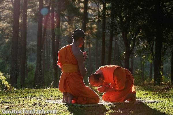 Nhân văn là gì? Giá trị nhân văn là gì? Tính nhân văn là gì?