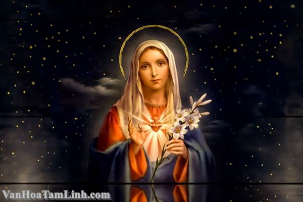 Đức Mẹ Maria và thế giới ngày nay