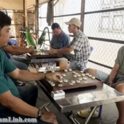 Cờ tướng trong văn hóa dân gian Việt Nam: thú chơi, thi đấu và những câu thơ dân gian