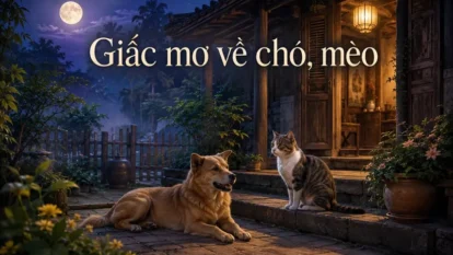 Giấc mơ về chó, mèo
