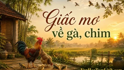 Giấc mơ về gà, chim