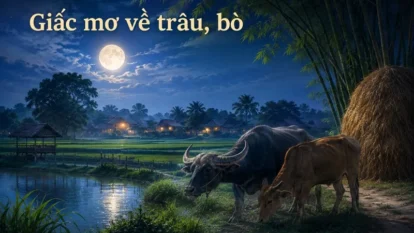 Giấc mơ về trâu, bò và đời sống nông nghiệp truyền thống