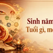 Người sinh năm 2025 tuổi gì, mệnh gì?