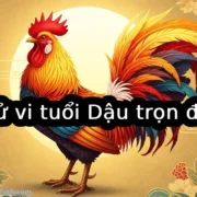 Tử vi tuổi Dậu trọn đời: Sự nghiệp, tình duyên, tài vận và vận mệnh