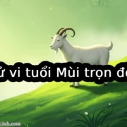 Tử vi tuổi Mùi trọn đời: Vận mệnh, tình duyên, sự nghiệp và hậu vận