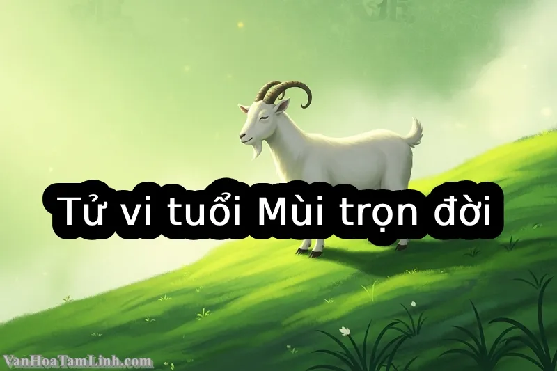 Tử vi tuổi Mùi trọn đời: Vận mệnh, tình duyên, sự nghiệp và hậu vận