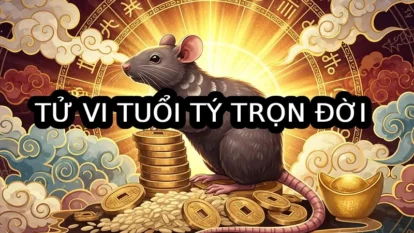 Tử vi tuổi Tý trọn đời: Công danh, sự nghiệp, tình duyên và vận mệnh