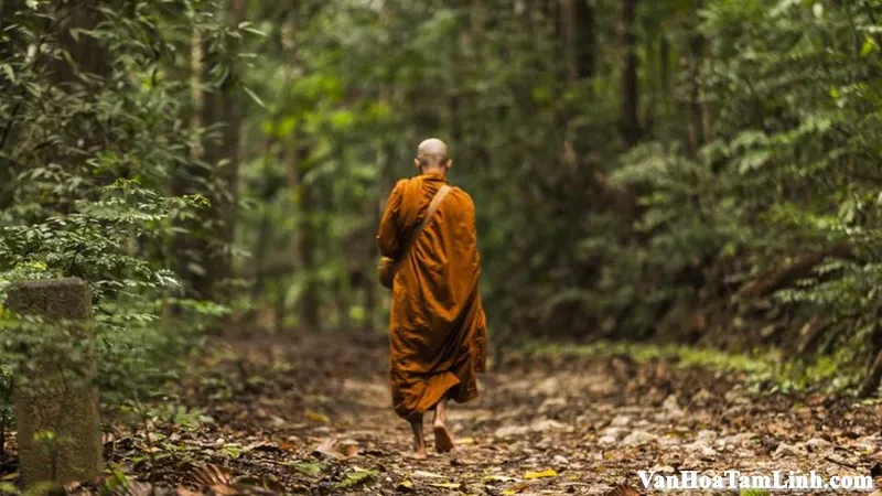 Tỳ kheo là gì? Ý nghĩa giới phẩm Tỳ kheo trong Phật giáo